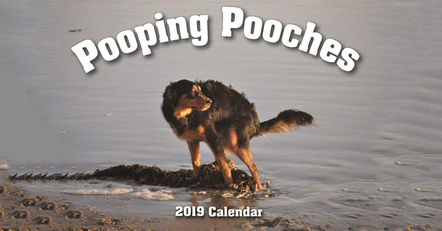 2019 Calendar of Dogs Pooping Is This Years Must Have Gift - Funny ...