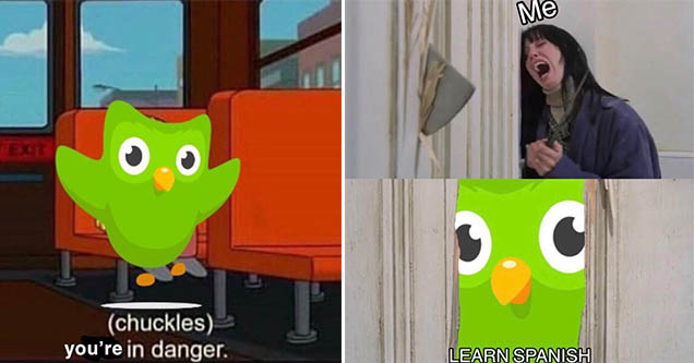 According to Know Your Meme, the Evil Duolingo Owl is "