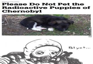 74 Funny and Imformative Chernobyl Memes To Help You Deal With the ...