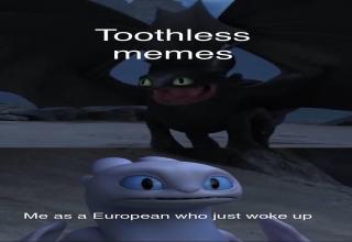 29 Funny Toothless Memes That Ll Help You Train Your Dragon Funny Gallery Ebaum S World
