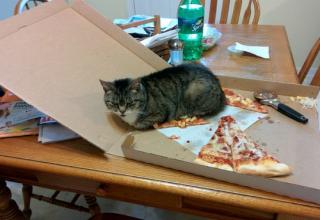 20 Unbelievably Funny Pictures - Funny Gallery | eBaum's World