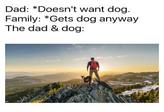 Dad And The Dog Memes For Dads Who Didn't Want Dogs - Funny Gallery ...