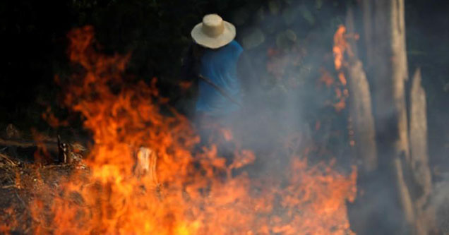 Amazon Rainforest Fires Were Set By Cattle Ranchers On 'The Day Of Fire' 