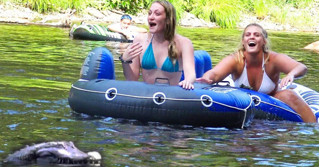 Prankster Uses Remote Controlled Alligator to Terrorize Tubers