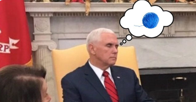 Mike Pounce Memes That Are Pretty Purrfect 