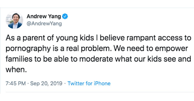 Andrew Yang Wants The Government To Regulate Internet Porn
