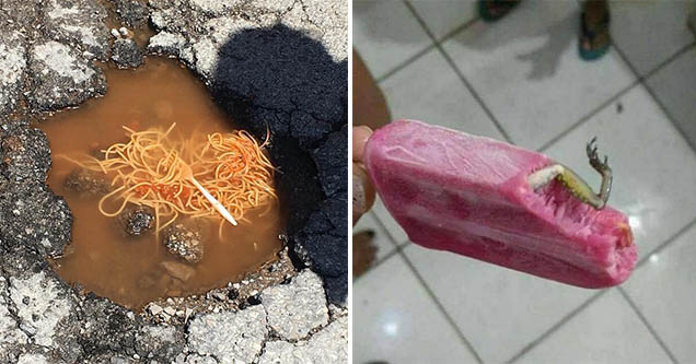 Cursed Food Pics That Need To Go Away Right Now 43 Images Wtf