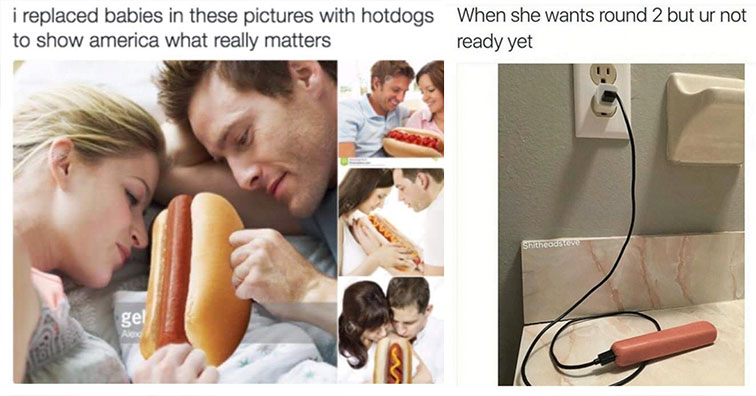 30 Hot Dog Memes And Pics That Will Leave You Hungry For More Funny Gallery