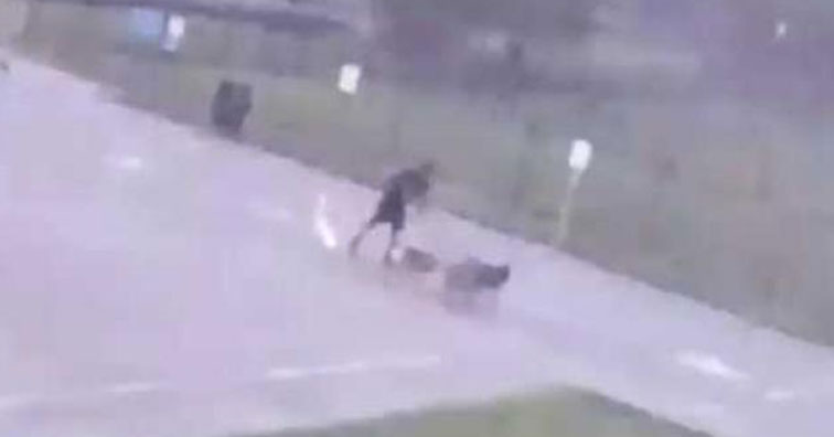 Man In Texas Struck By Lightning While Walking His Dogs. - Wow Video ...