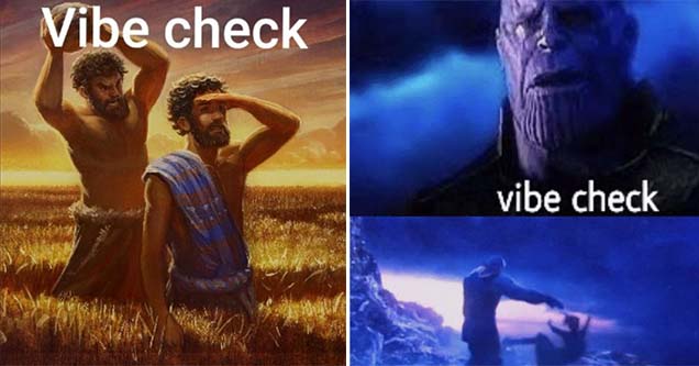 define vibe check