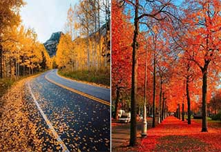 No matter if you call it autumn or fall, this time of year can be really beautiful if you choose to see it.