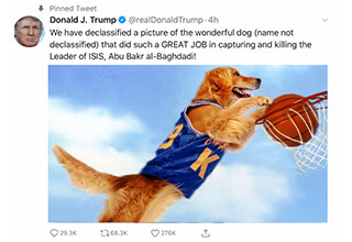 After Trump shared a photo 'declassifying' the image of a dog that helped in the raid on ISIS leader al-Baghdadi, people on the internet have begun to follow suit. 