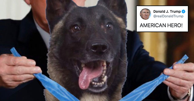 Trump Shares Photoshop of Him Awarding Medal to Military Dog 