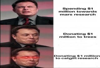 Elon Musk Donating 1 Million Dollars to Plant Trees Memes Are All Over ...