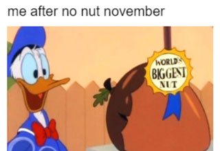 <a href="https://knowyourmeme.com/memes/no-nut-november" target="_blank">'No Nut November'</a> is an annual internet tradition started back in 2011 that challenges men to go the entire month of November with ejaculating. It's stupid, it's hard, and it's unclear if anyone actually does it. What we do know is that everyone talks about it every November and it's always a source of great memes. Here's some of the best from this year (so far). 