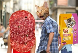 Way back in the good ol' days of 2017 a California sausage making company called, <a href="https://meatmenstore.com/can-my-cat-eat-salami/" target="_blank" style="text-decoration:none; font-weight:bold; color: #565760;">MEATMEN</a> accidentally created a viral meme. The company wrote an article explaining why salami is a suitable treat for cats saying, "Cats are expert hunters and have a keen sense of smell, especially in the case of meat... Your cat should be just fine with a couple pieces of salami as a treat." <br><br>Shortly after the article was written a user uploaded a meme to tumblr using that quote and pictures of cats eating salami. While there are plenty of other <a href="https://www.ebaumsworld.com/pictures/woman-yelling-at-cat-memes/86009016/" style="text-decoration:none; font-weight:bold; color: #565760;">cat memes blowing up</a>, this <a href="https://cheezburger.com/9732613/cats-can-have-a-little-salami-according-to-these-tasty-new-memes" target=
_blank" style="text-decoration:none; font-weight:bold; color: #565760;">meme and all its variations</a> have currently reached trending status and are showing up everywhere on the Internet. So go ahead, give your little chonker a piece of salami as a snacc and then check out all our favorite versions of this <a href="https://knowyourmeme.com/memes/cats-can-have-a-little-salami" target="_blank" style="text-decoration:none; font-weight:bold; color: #565760;">meme</a>.