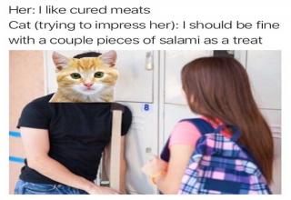 The Best \u0027Cats Can Have a Little Salami\u0027 Memes That Were