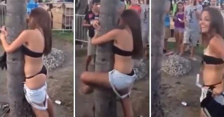 Drunk Festival Chick Sexually Assaults A Tree - Facepalm -2132