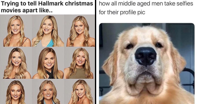 random bunch of reltable memes and pics  | hallmark christmas movie meme - Trying to tell Hallmark christmas movies apart .. | tucker budzyn - how all middle aged men take selfies for their profile pic