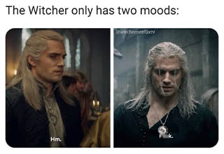 Fresh from the Valley of Plenty!<br><br>
We have even more <a href="https://gaming.ebaumsworld.com/pictures/dope-the-witcher-memes-that-celebrate-the-best-new-show-on-netflix/86155472/">Witcher memes!</a> Get 'em while they're hot.
