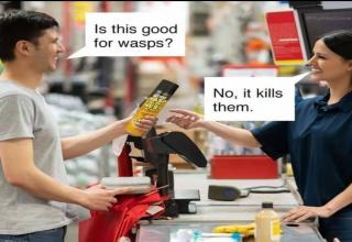 Nonchalant Compilation of 37 Remarkable Images - Funny Gallery | eBaum ...