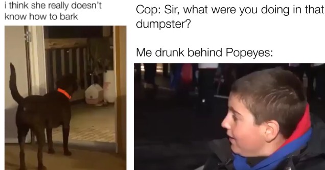 XXL Dump of Funny GIFs Designed to Delight and Entertain 