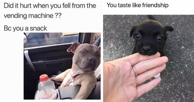 53 Feel Good Memes Bringing Positivity To Your Feed In These Dark