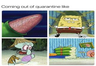 33 Accurate Memes About Our New Quarantined Reality - Funny Gallery ...
