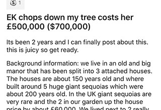 Head the warning told in this story and leave your neighbors trees alone! 