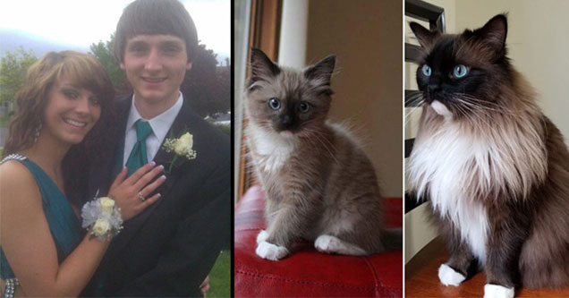before and after photos of cat and couple at prom