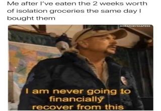 Joe Exotic 'I'm Never Going to Financially Recover From This' Memes ...