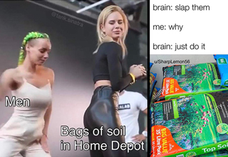 <a href="https://knowyourmeme.com/memes/slapping-bags-of-soil">"Slapping bags of soil"</a> may be a new meme but for most of us it's a cherished pastime inherited through our lizard brains.


