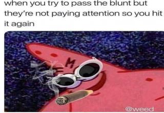 69 Weed Memes That Rip Harder Than Your Bong - Funny Gallery | eBaum's ...