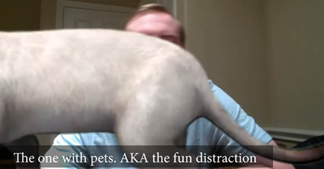 The Different Types of People on Zoom