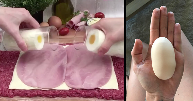 Behold the Long Egg, for It Is Long and It Is Egg