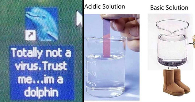 34 "A+ Tier" Funny Random Pics and Memes