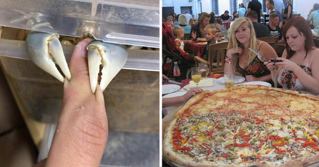 collection of random pictures | a crab pinching a finger, and girls with a huge pizza