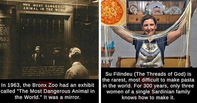 21 Fascinating Facts to Shove In Your Head - Wow Gallery