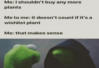 60 Plant Memes For You To Dig Through - Funny Gallery | eBaum's World