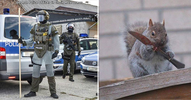 bunch of funny and random pictures | police in chain armor and a squirrel with a knife