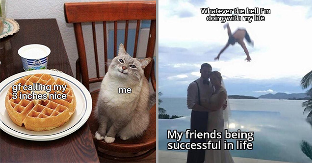 funny memes | cat and waffle meme template - Chetaha gf calling my 3 inches nice me | draw your otp wedding - Whatever the hell Fm doing with my life My friends being successful in life