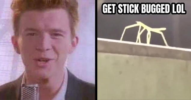 Get Stick Bugged Lol Is Gen Z S New Version Of Rick Rolling Funny Article - rick rolld roblox