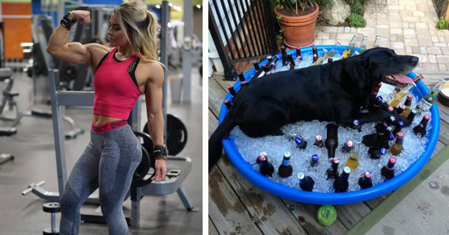 funny and random pics | a muscular blonde woman flexing and a dog laying in a pool of ice with beers in it