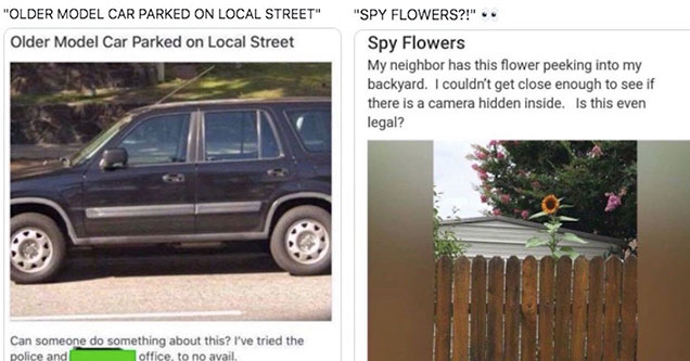 funny posts from the best of next door - ugly car parked on street and a sunflower spy plant.