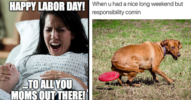 27 Classic Labor Day Memes For The Long Weekend Funny Gallery