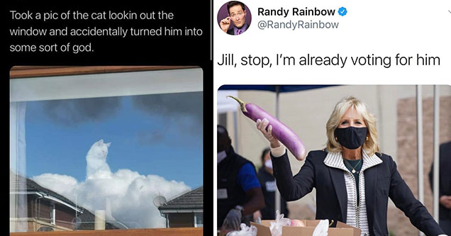 funny posts from twitter - picture of cat sitting in a cloud looking like a god -  and Jill Biden holding up a massive egg plant