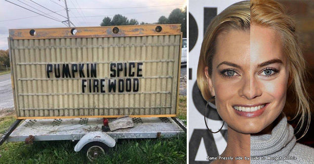 pumpkin spice firewood - jamie presley next to margot robie