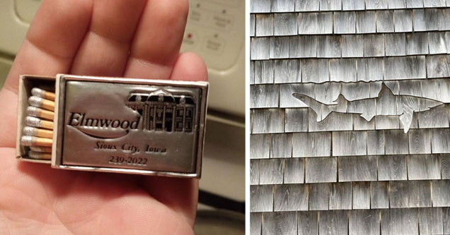 cool and interesting pics | a box of silver tipped matches and a shark in the shingles of a roof