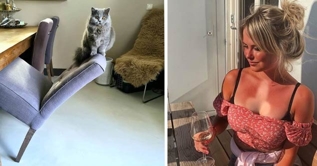 funny and random pictures |a cat leaning on a chair and woman with a penis tanned on her