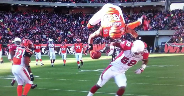 NFL: Jerome Simpson somersault touchdown for Cincinnati